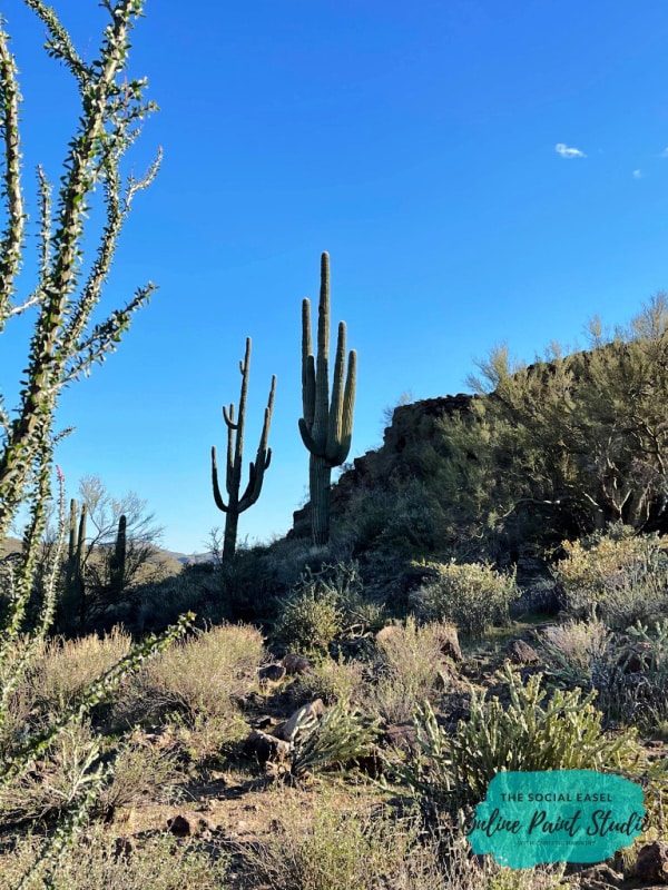 Cacti A view from top - Trusting God in the adventure! The Social Easel Online Paint Studio