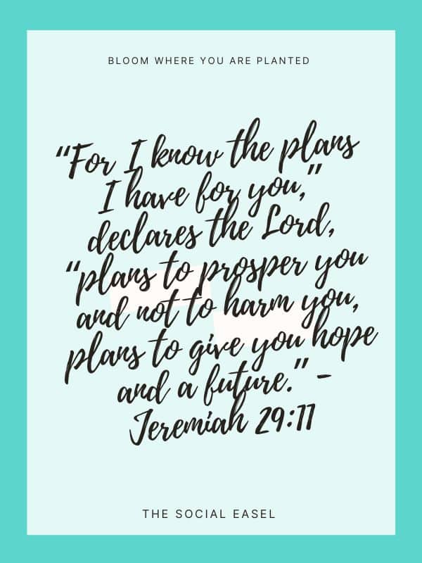 Bloom Where you are Planted: “For I know the plans I have for you,” declares the Lord, “plans to prosper you and not to harm you, plans to give you hope and a future.” - Jeremiah 29:11