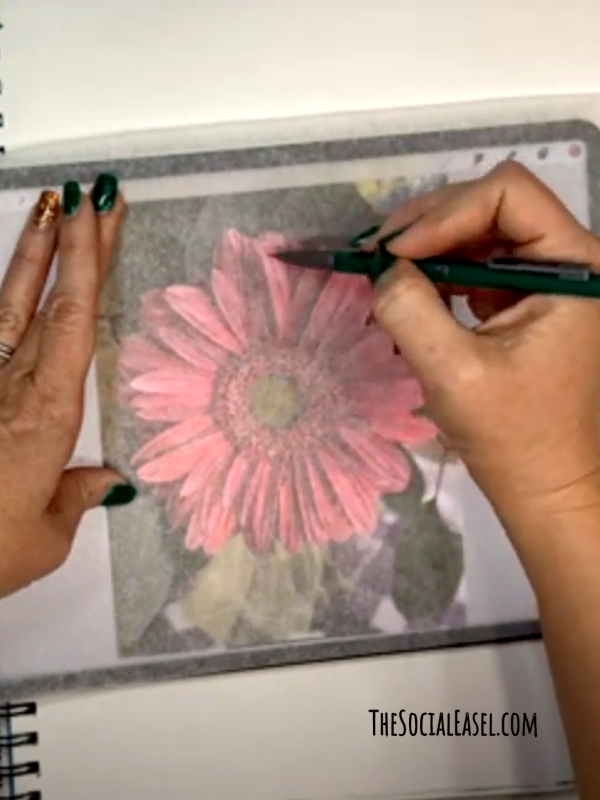 A picture of a Gerbera daisy on an IPad. A tracing paper over the image. Christie holding a pencil. 